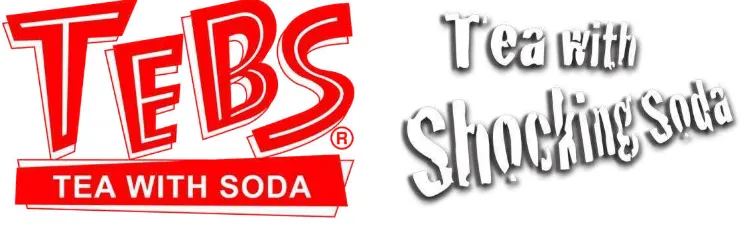 Gambar II.1 Logo dan Slogan produk TEBS 