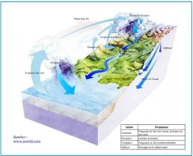 Gambar II-6 Daur Hidrologi (www.euwfd.com) 