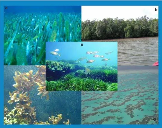 Gambar II-1 Ekosistem dan biota pesisir : (a) padang lamun, (b) mangrove, (c) rumput laut, (d) terumbu karang, (e) populasi ikan