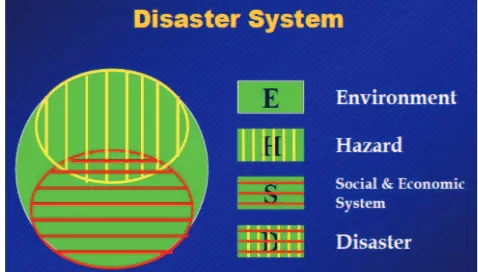 Gambar 1.  Skope Kausalitas Risiko Bencana