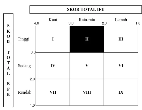 Tabel 6.3 Matriks IE 