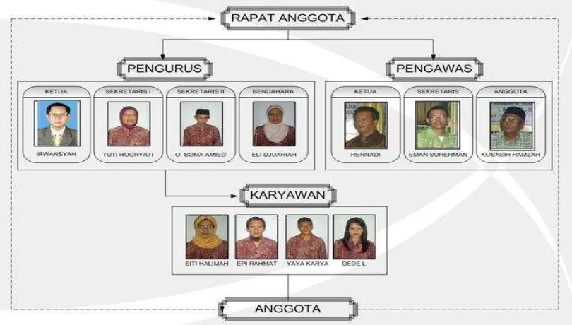 Gambar 3.1 Struktur Organisasi KSP Sumber Bahagia Kota Bandung 