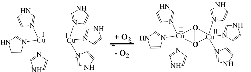 Figure 8. Reversible uptake and release of oxygen by haemocyanins.   