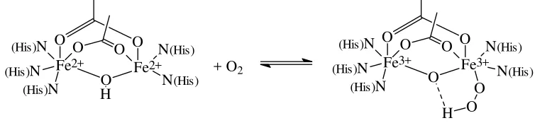 Figure 9. Desoxy form (left) and oxy form (right) of haemerythrin.  