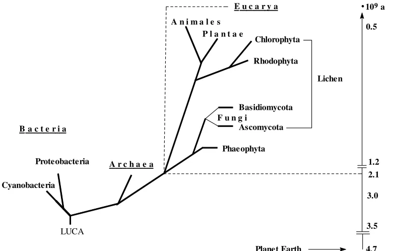 Figure 1. Phylogenetic tree. Time scale in billion years. LUCA = last uniform common  ancestor