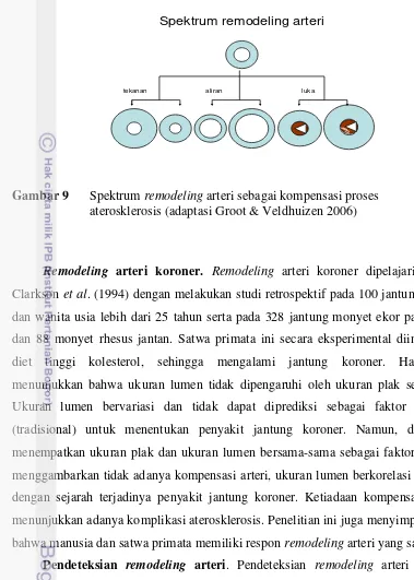 Gambar 9  Spektrum remodeling arteri sebagai kompensasi proses 