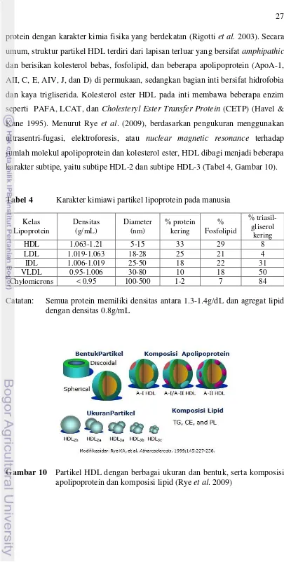 Tabel 4  Karakter kimiawi partikel lipoprotein pada manusia 