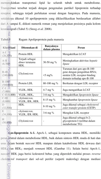 Tabel 5  Ragam Apolipoprotein pada manusia 