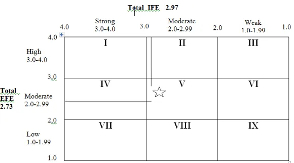 Figure 1  Internal External (IE) Matrix 