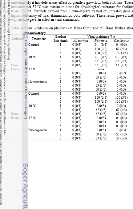 Table 4 Virus incidence on plantlets cv. Bima Curut and cv. Bima Brebes after 