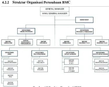 Gambar 4.2 Struktur Organisasi PT. Agronesia 