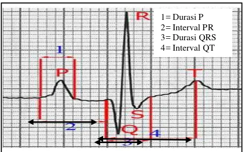 Tabel 3. Kriteria elektrokardiogram (EKG) dan tekanan darah normal pada anjing 