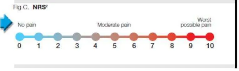 Pengaruh Terapi Slow Stroke Back Massage Dengan Minyak Essensial ...