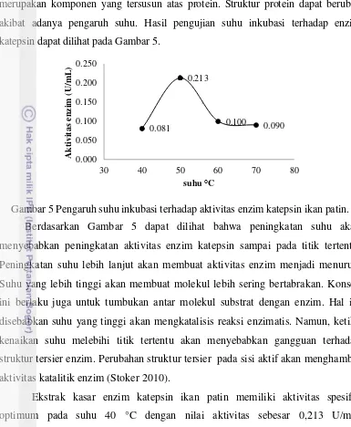 Gambar 5 Pengaruh suhu inkubasi terhadap aktivitas enzim katepsin ikan patin. 