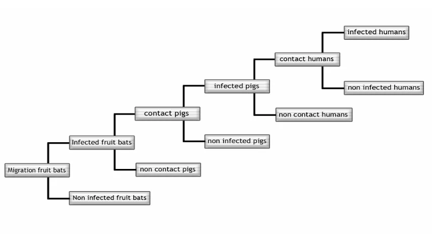 Gambar 2. Sebuah pohon skenario alur penularan dan pembentukan host Virus Nipah 