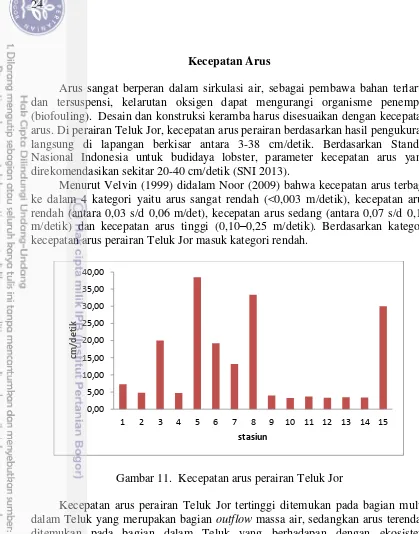 Gambar 11.  Kecepatan arus perairan Teluk Jor 