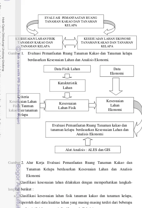 Gambar 1. Evaluasi Pemanfaatan Ruang Tanaman Kakao dan Tanaman kelapa 