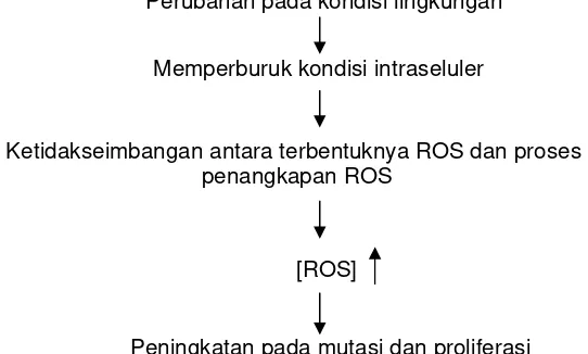 Gambar 3    Kemungkinan skenario pada ketidakseimbangan                                    ROS (Skulachev  2000)