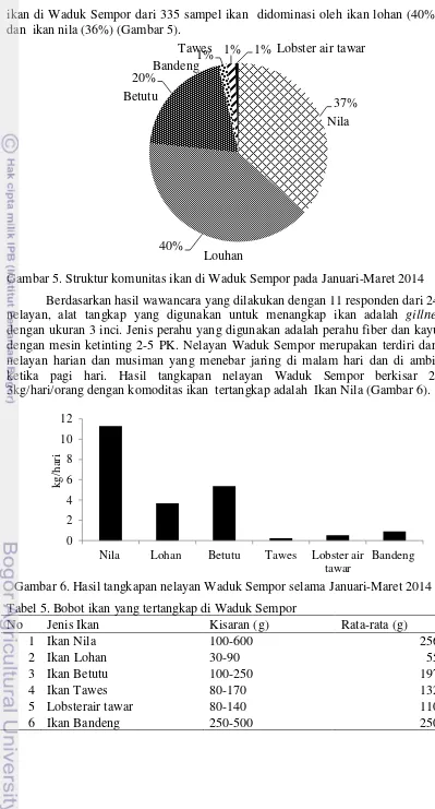 Gambar 5. Struktur komunitas ikan di Waduk Sempor pada Januari-Maret 2014 