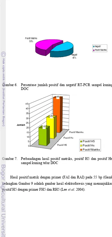 Gambar 6.  Persentase jumlah positif dan negatif RT-PCR sampel kuning telur 