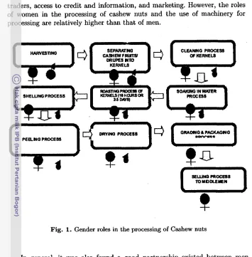 Fig. 1. Gender roles in the processing of Cashew nuts