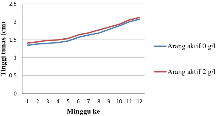 Gambar 2. Pengaruh Arang Aktif terhadap Pertambahan Tinggi Tunas Tanaman Sarang Semut pada 1-12 MST 