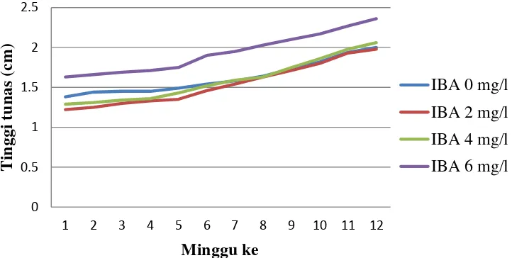 Gambar 3. Pengaruh Berbagai Konsentrasi IBA terhadap Pertambahan Tinggi Tunas Tanaman Sarang Semut 