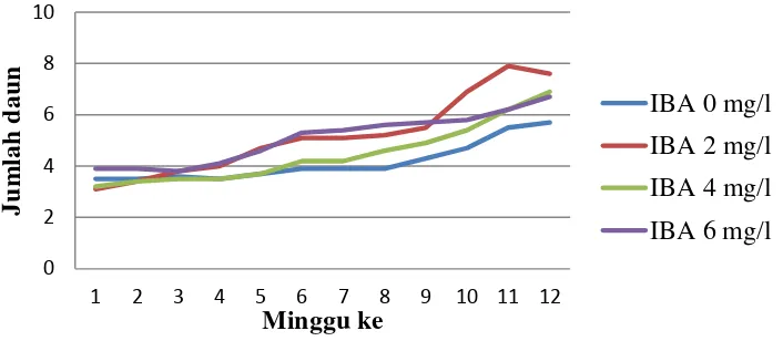 Gambar 6. Pengaruh IBA terhadap Pertambahan Jumlah Daun Tanaman Sarang Semut pada 1-12 MST