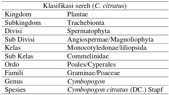 Tabel 2.2 Klasifikasi ilmiah sereh (C. citratus) 