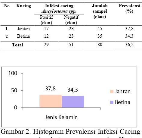 Gambar 2. Histogram Prevalensi Infeksi CacingAncylostomaspp.pada KucingLokal Berdasarkan Jenis Kelamin