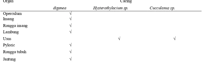 Tabel 4. Intensitas Infeksi Cacing pada ikan Sulir Kuning (Caesio cuning) 