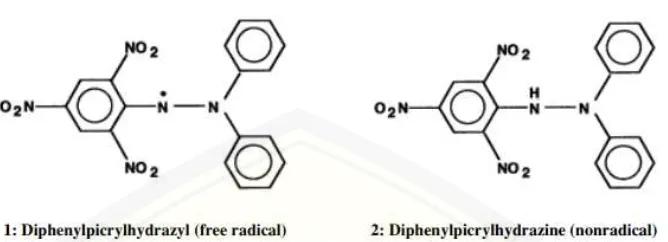 Gambar 2.3 Struktur molekul DPPH (radikal bebas) dan DPPH-H (non radikal) 