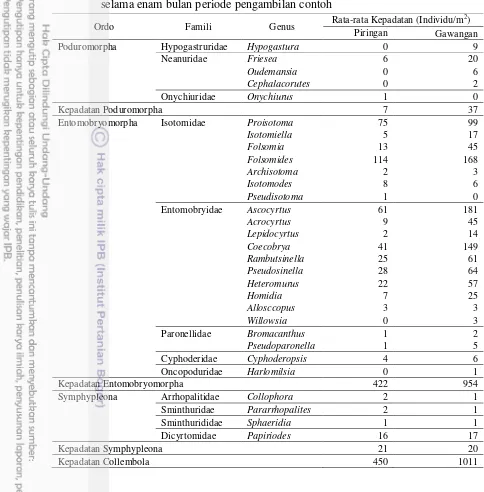 Tabel 3 Keanekaragaman dan kepadatan Collembola di kebun kelapa sawit    selama enam bulan periode pengambilan contoh 
