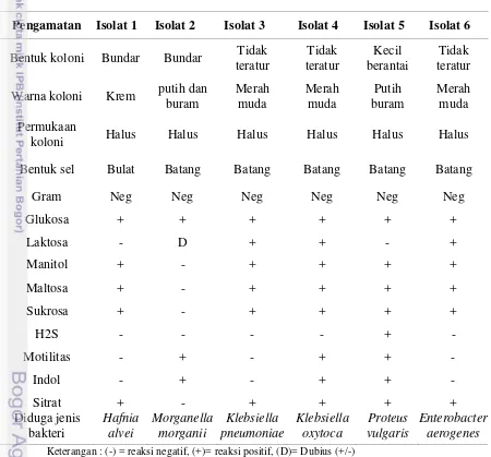 Tabel 4 Hasil identifikasi isolat bakteri pembentuk histamin 