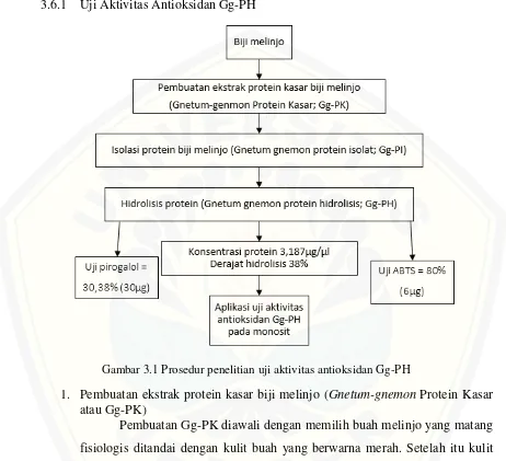 Gambar 3.1 Prosedur penelitian uji aktivitas antioksidan Gg-PH 
