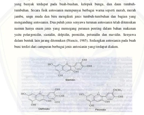 Gambar 2.2. Struktur Beberapa Antosianidin Penting (Francis, 1985) 
