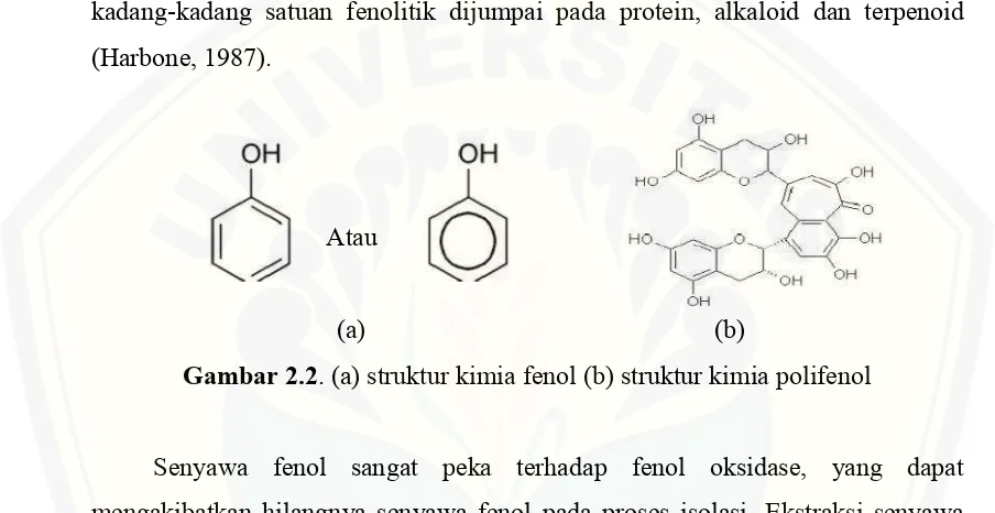 Gambar 2.2. (a) struktur kimia fenol (b) struktur kimia polifenol