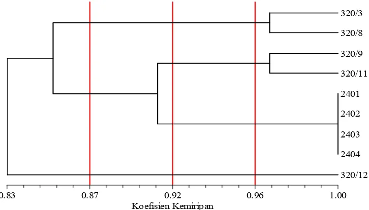 Tabel 2. Nilai tingkat kemiripan antar empat individu ramet klon pisifera dan lima individu dari famili TxP berdasarkan data marka RAPD