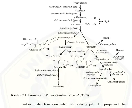 Gambar 2.1 Biosintesis Isoflavon (Sumber: Yu et al., 2003) 