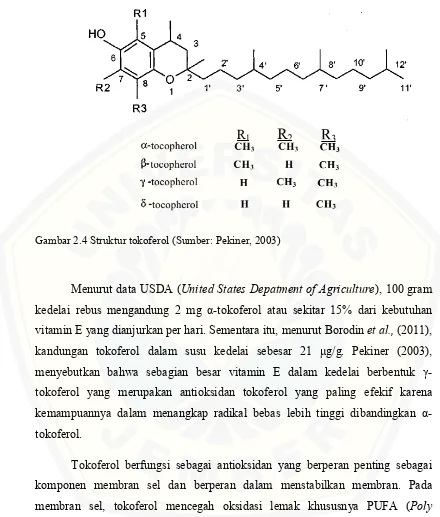Gambar 2.4 Struktur tokoferol (Sumber: Pekiner, 2003) 