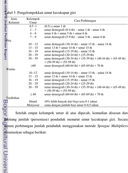 Tabel 3  Pengelompokkan umur kecukupan gizi 