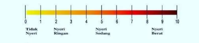 Gambar 2 Numerical Rating Scale (Potter & Perry, 2006) 