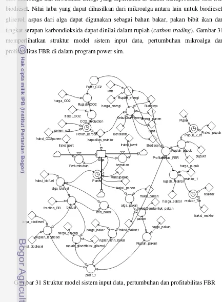 Gambar 31 Struktur model sistem input data, pertumbuhan dan profitabilitas FBR 