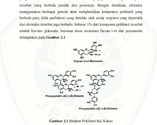Gambar 2.1 Struktur Polifenol Biji Kakao 