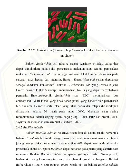 Gambar 2.5Escherichiacoli (Sumber : http://www.wikilinks.fr/escherichia-coli-