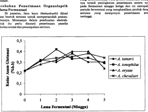 Gambar 5. Perubahan kadar asam glutamat katsuobushi selama fermentasi 