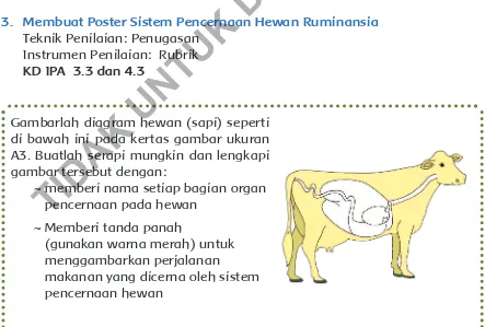Gambarlah diagram hewan (sapi) seperti TIDAK UNTUK DIGANDAKAN