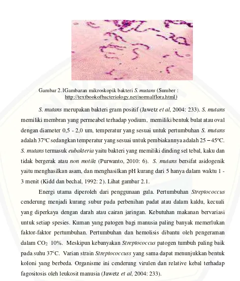 Gambar 2.1Gambaran mikroskopik bakteri S. mutans (Sumber : 