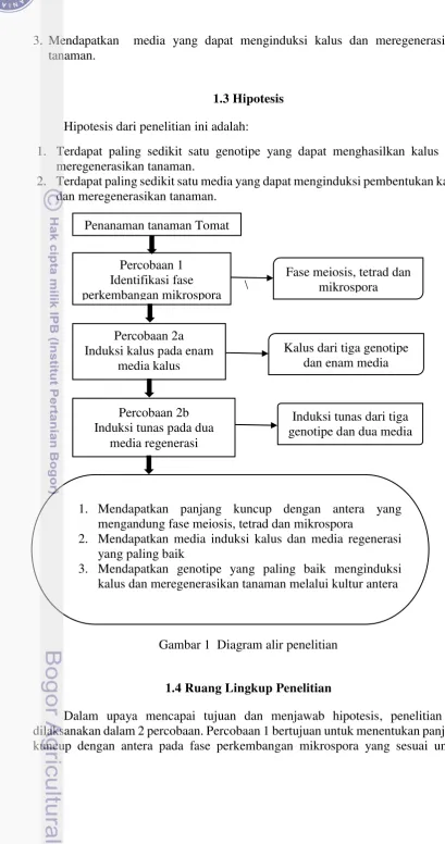 Gambar 1  Diagram alir penelitian 