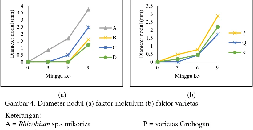 Gambar 4. Diameter nodul (a) faktor inokulum (b) faktor varietas 